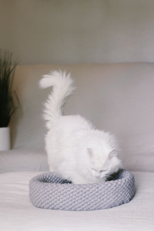 Harbor Pet Bed Crochet Pattern