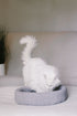 Harbor Pet Bed Crochet Pattern