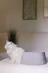 Harbor Pet Bed Crochet Pattern