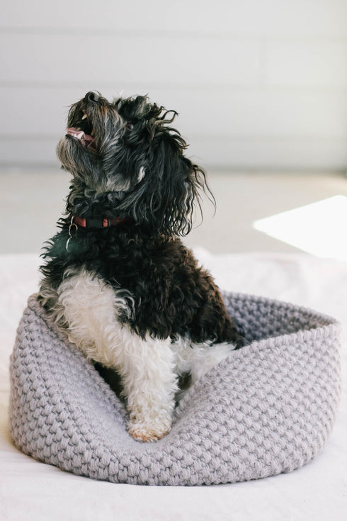 Harbor Pet Bed Crochet Pattern
