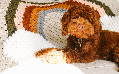 Over the Rainbow Crochet Blanket Pattern