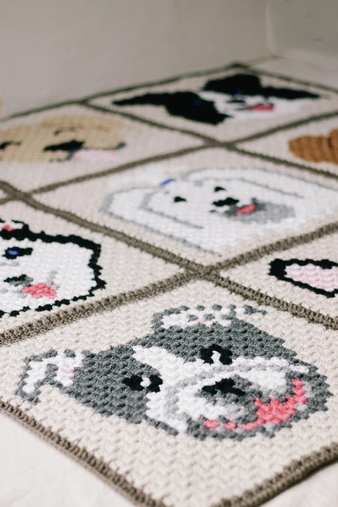 Best in Show Blanket Crochet Pattern