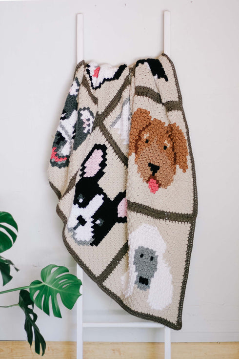 Best in Show Blanket Crochet Pattern