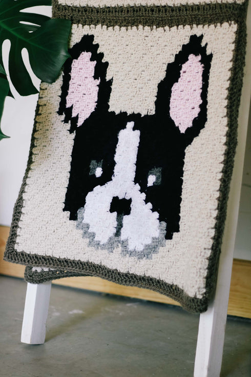French Bulldog / Boston Terrier Dog Blanket Crochet Pattern
