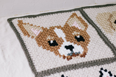 Chihuahua Dog Blanket Crochet Pattern