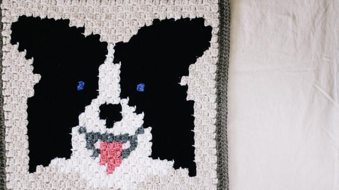 Border Collie / Australian Shepard Dog Blanket Crochet Pattern