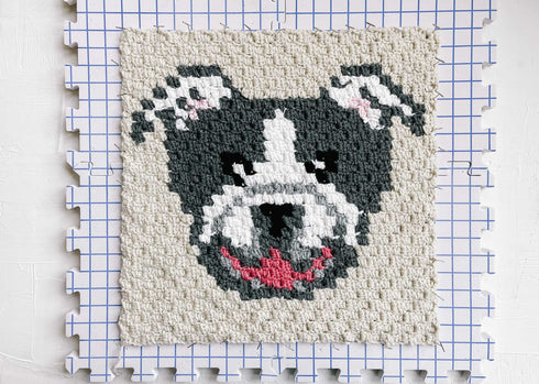 Bulldog / Pitbull Dog Blanket Crochet Pattern