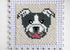 Bulldog / Pitbull Dog Blanket Crochet Pattern