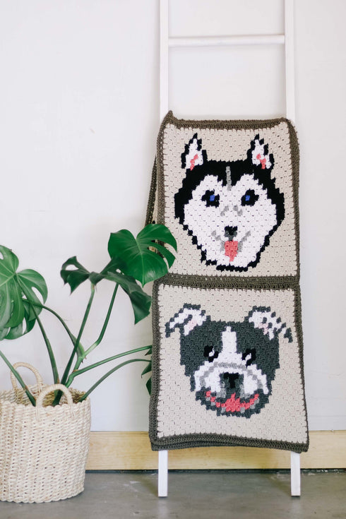 Bulldog / Pitbull Dog Blanket Crochet Pattern