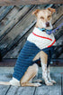 Ready to Roam Dog Sweater Crochet Pattern