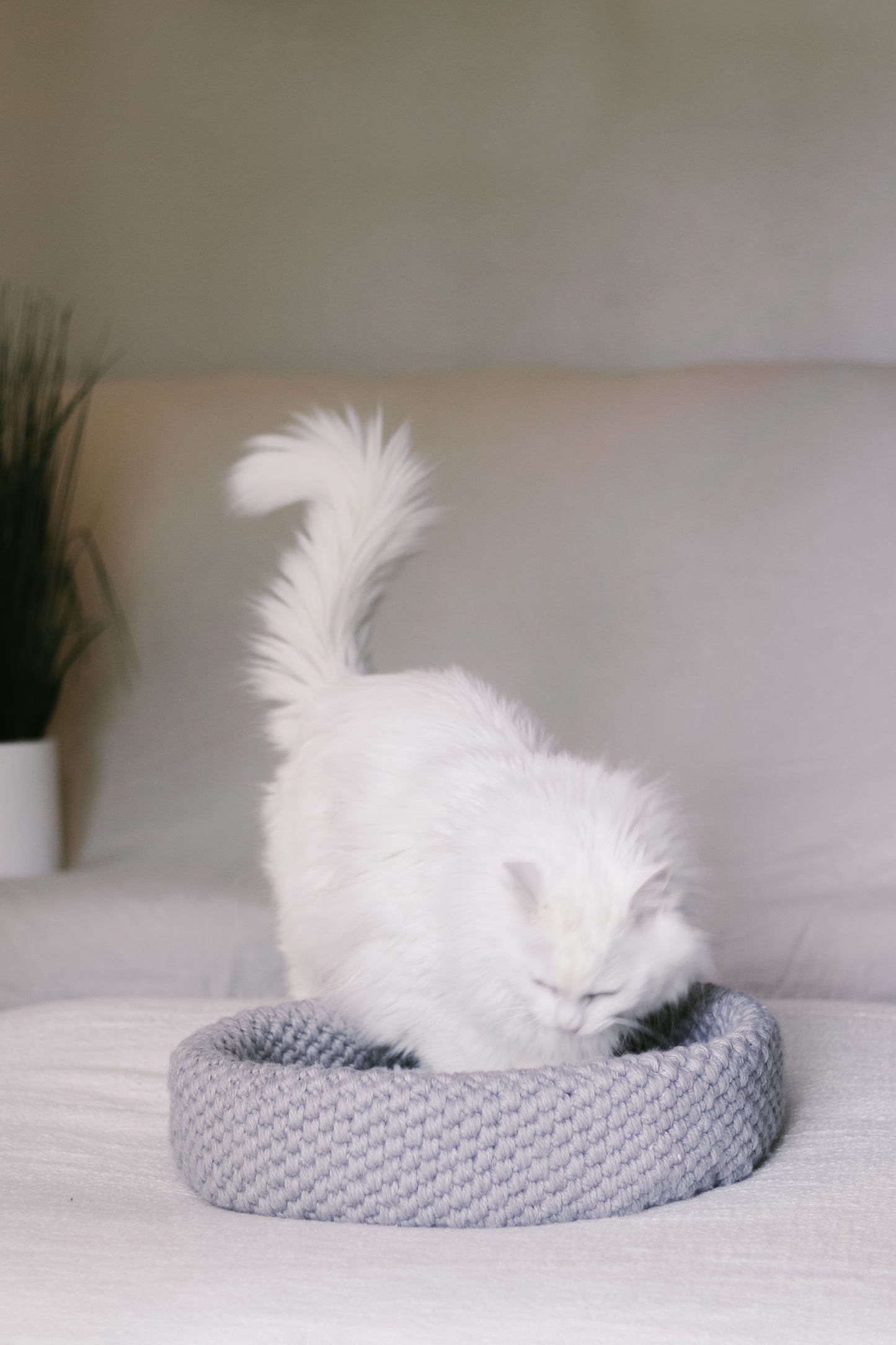 Harbor Pet Bed Crochet Pattern