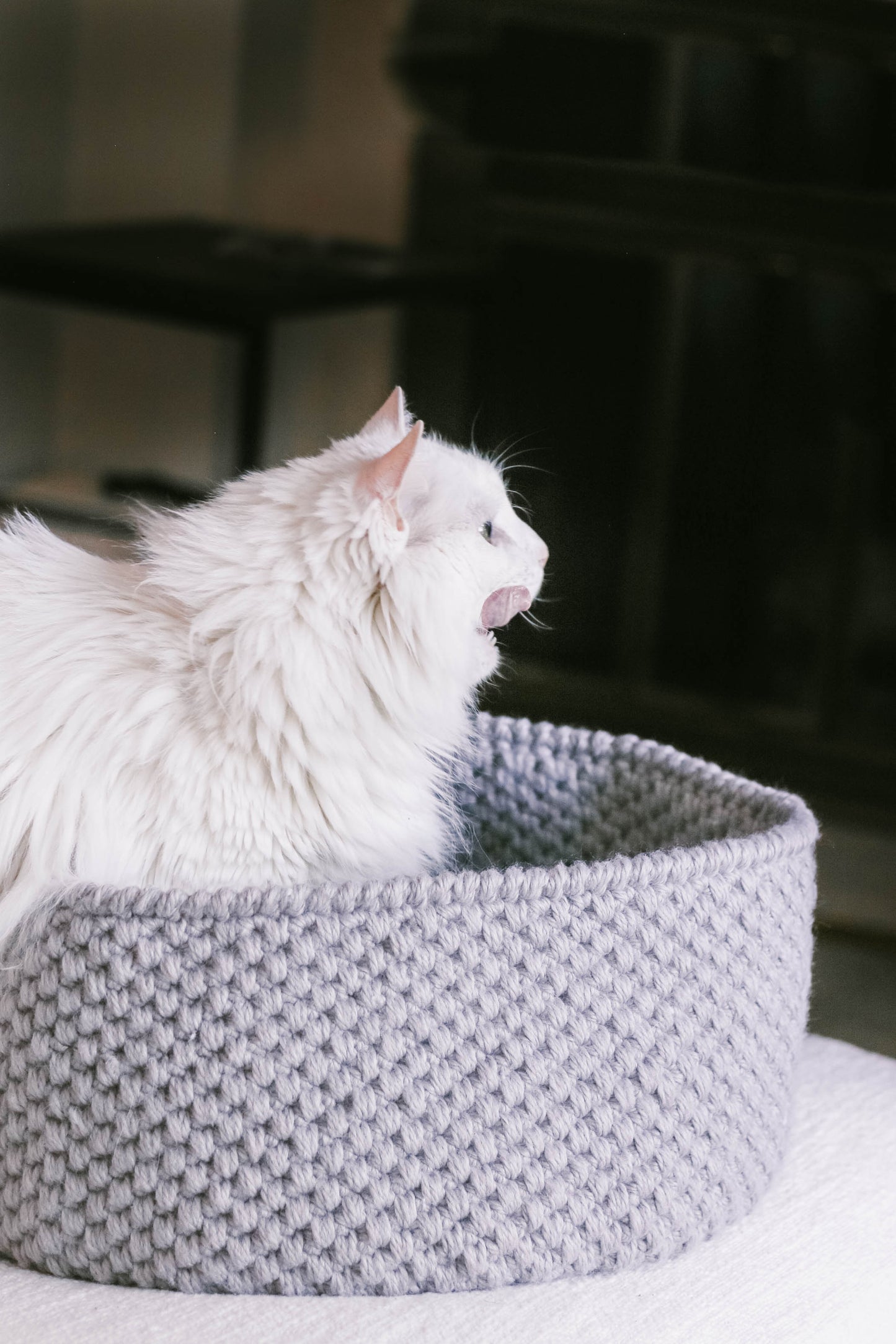 Harbor Pet Bed Crochet Pattern