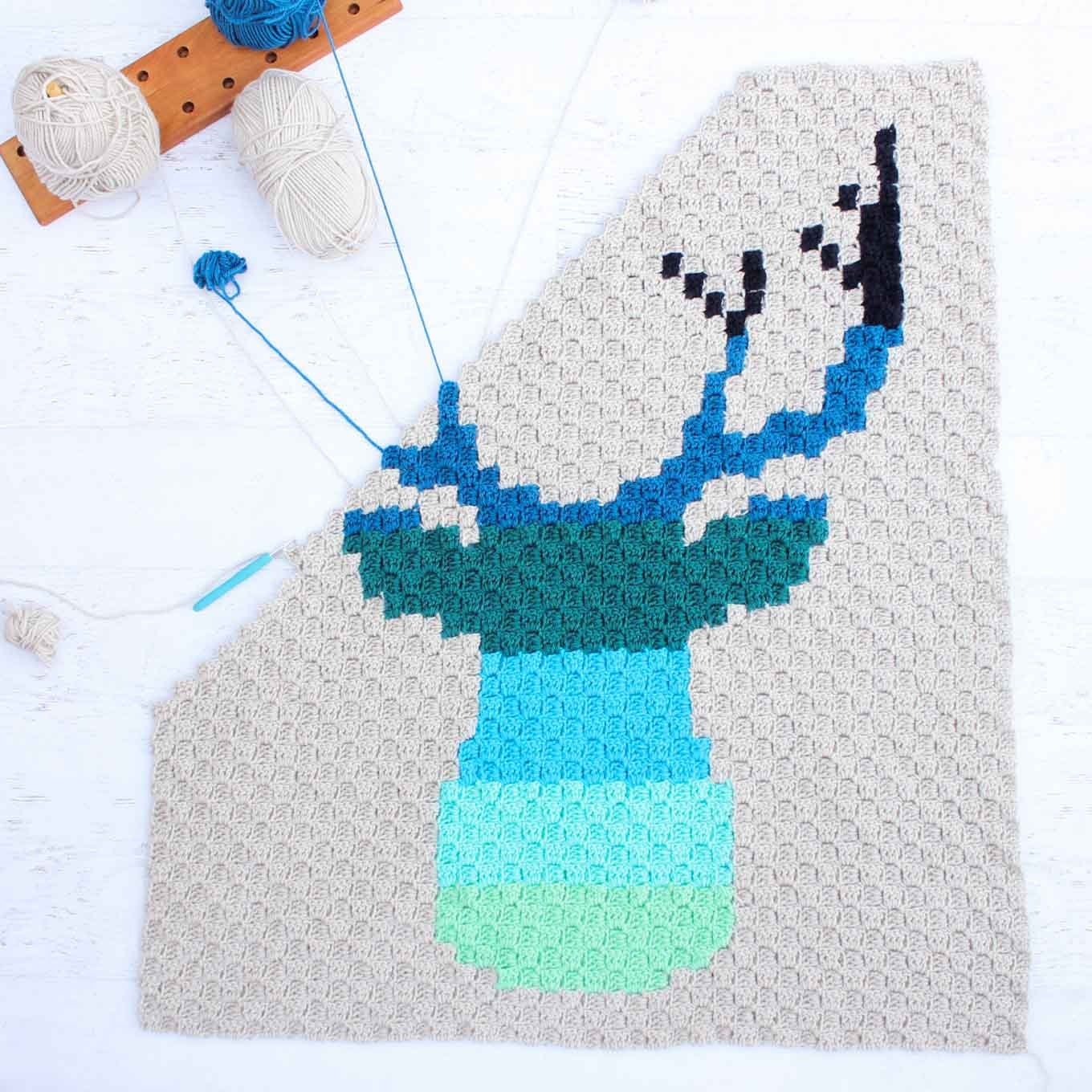 Crochet Pattern Bundle Corner to Corner Crochet Blankets