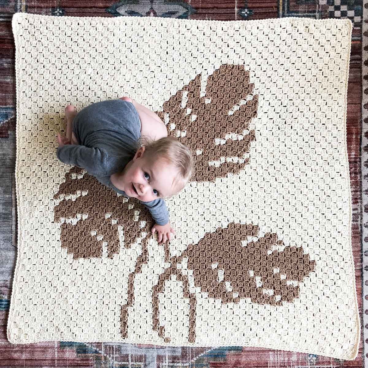 Crochet Pattern Bundle Corner to Corner Crochet Blankets