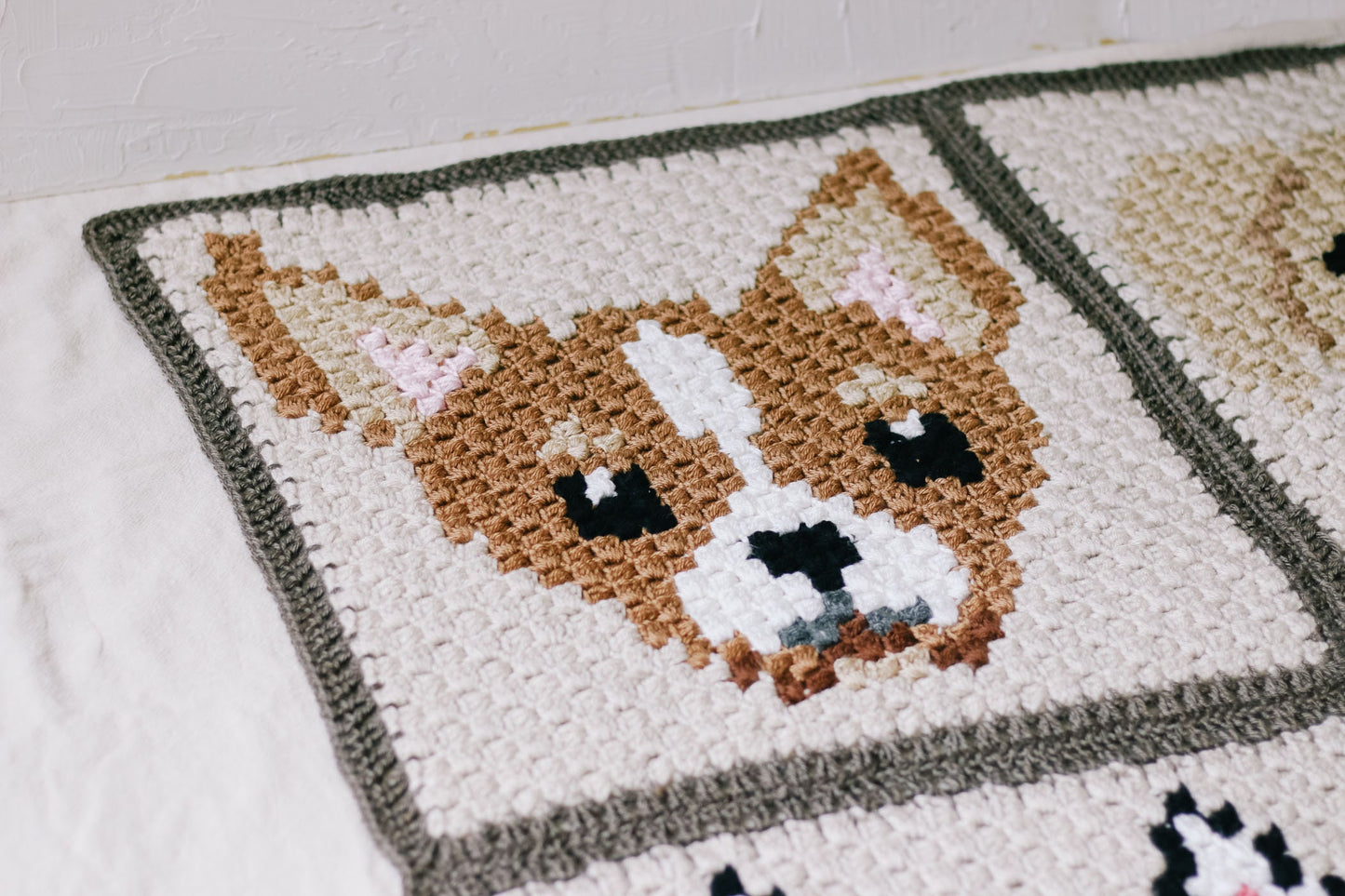 Chihuahua Dog Blanket Crochet Pattern