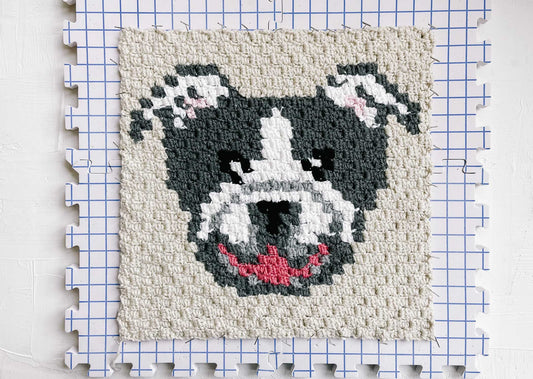 Bulldog / Pitbull Dog Blanket Crochet Pattern